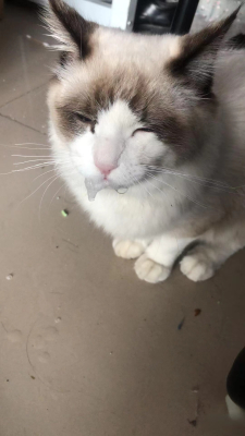 Ugo